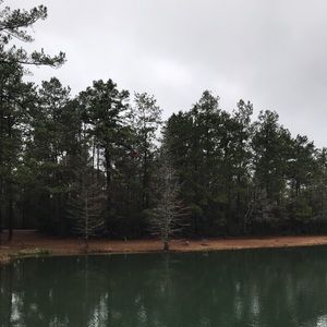 Meet your Posher, Mia